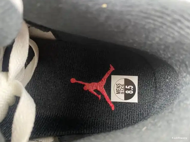 Kick Theory Jordan Grey Air Cement CT8532-106 3 0614